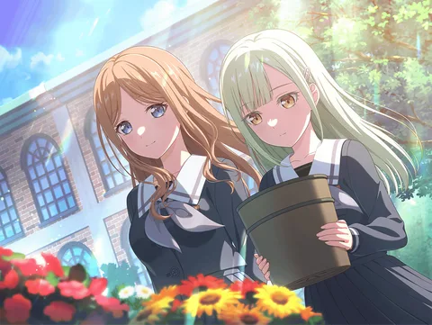 崭新的萌芽